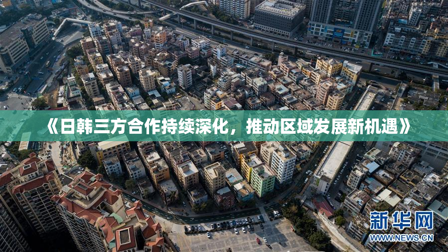《日韩三方合作持续深化，推动区域发展新机遇》