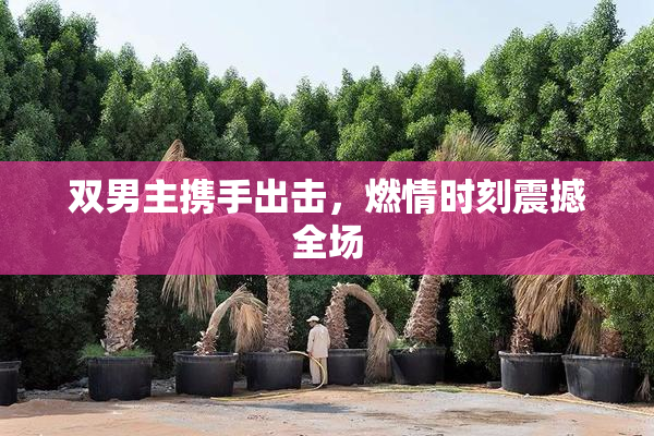 双男主携手出击，燃情时刻震撼全场