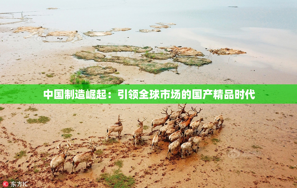 中国制造崛起：引领全球市场的国产精品时代