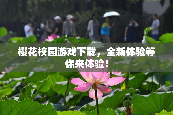 樱花校园游戏下载，全新体验等你来体验！