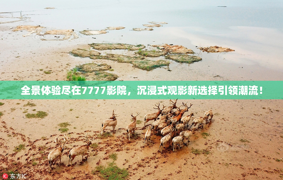 全景体验尽在7777影院，沉浸式观影新选择引领潮流！