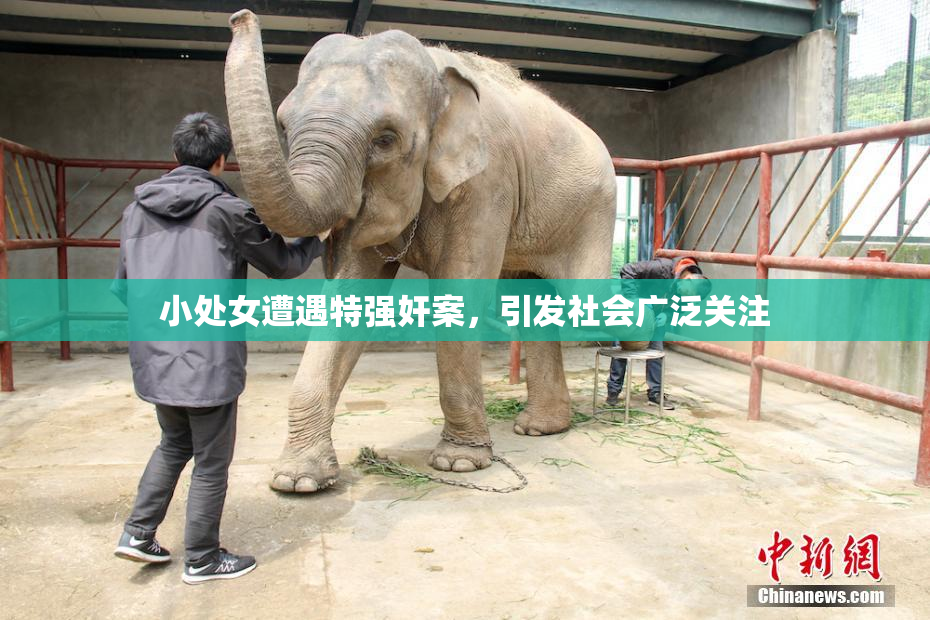 小处女遭遇特强奸案，引发社会广泛关注