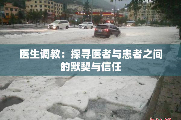 医生调教：探寻医者与患者之间的默契与信任