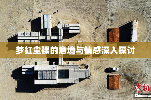 梦红尘裸的意境与情感深入探讨