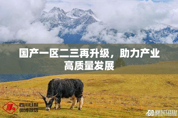 国产一区二三再升级，助力产业高质量发展