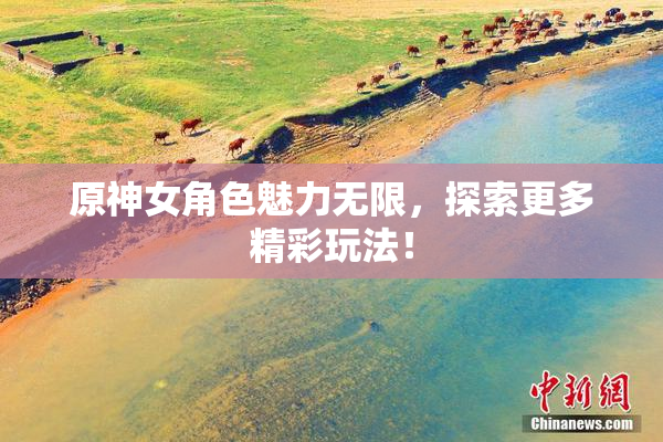 原神女角色魅力无限，探索更多精彩玩法！