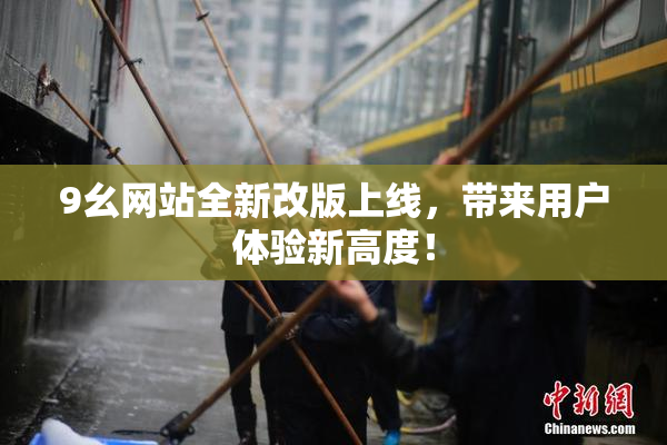 9幺网站全新改版上线，带来用户体验新高度！