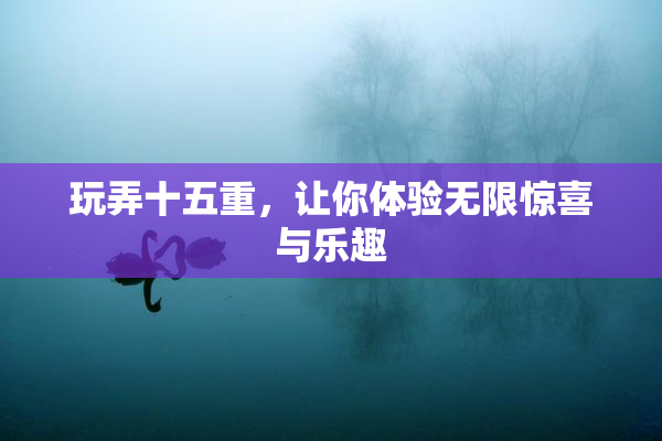 玩弄十五重，让你体验无限惊喜与乐趣