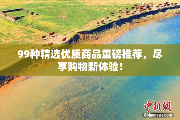 99种精选优质商品重磅推荐，尽享购物新体验！