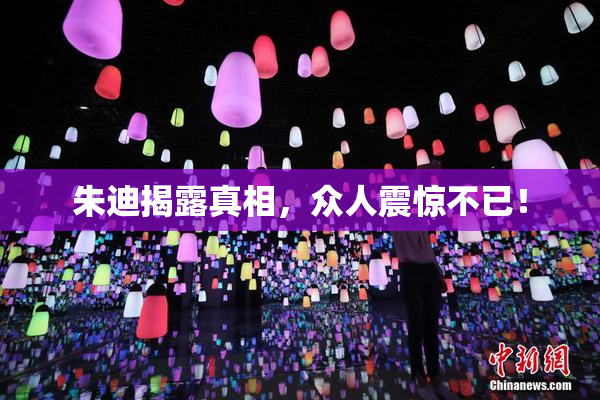 朱迪揭露真相，众人震惊不已！