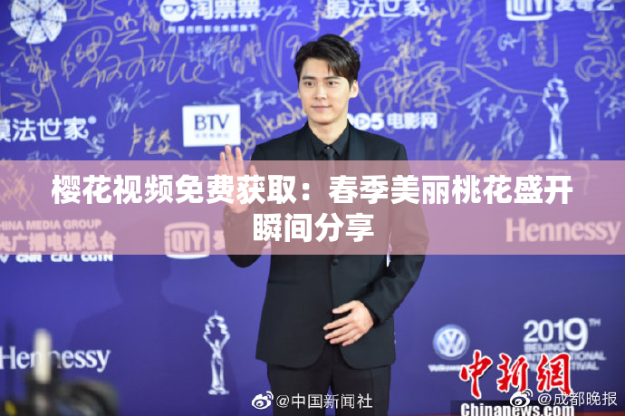 樱花视频免费获取：春季美丽桃花盛开瞬间分享