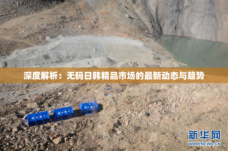 深度解析：无码日韩精品市场的最新动态与趋势