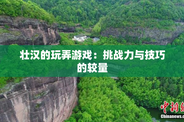 壮汉的玩弄游戏：挑战力与技巧的较量