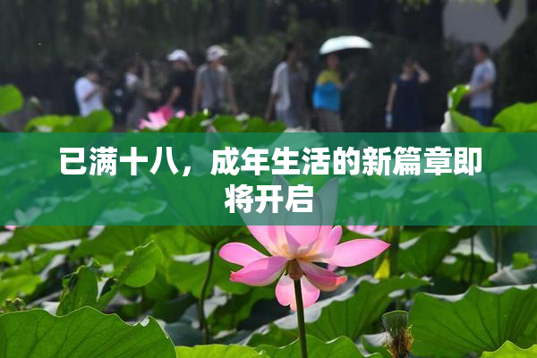 已满十八，成年生活的新篇章即将开启