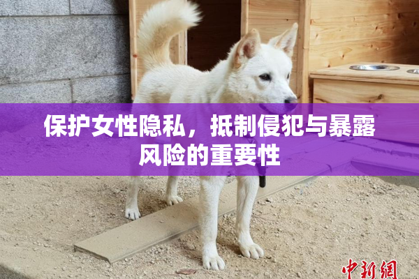 保护女性隐私，抵制侵犯与暴露风险的重要性