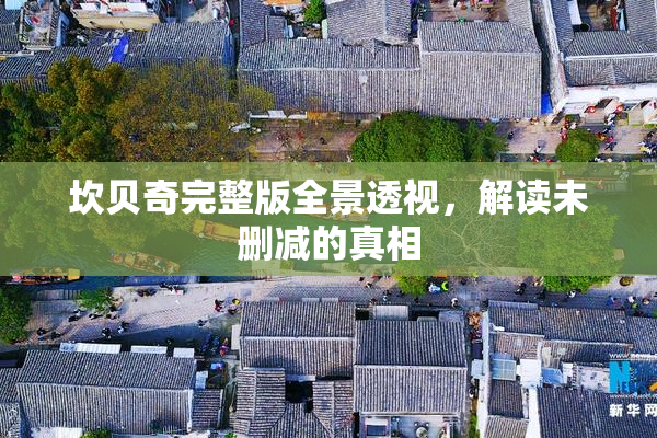 坎贝奇完整版全景透视，解读未删减的真相