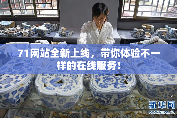 71网站全新上线，带你体验不一样的在线服务！