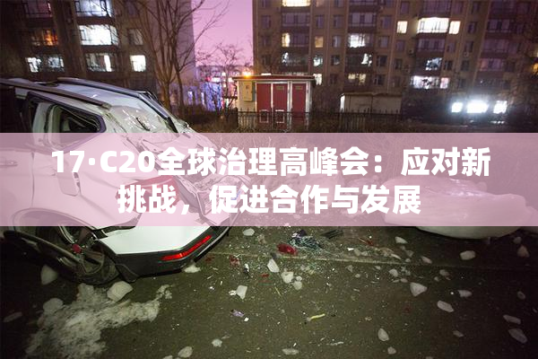 17·C20全球治理高峰会：应对新挑战，促进合作与发展