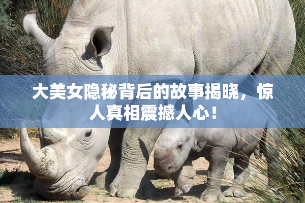 大美女隐秘背后的故事揭晓，惊人真相震撼人心！