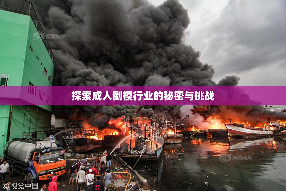 探索成人倒模行业的秘密与挑战