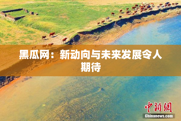 黑瓜网：新动向与未来发展令人期待