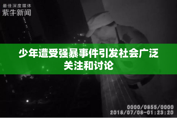 少年遭受强暴事件引发社会广泛关注和讨论