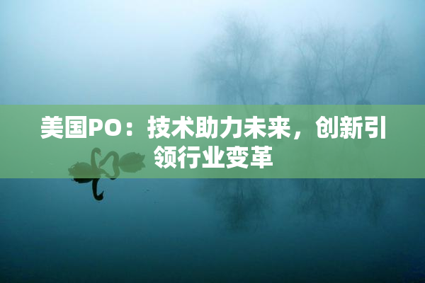 美国PO：技术助力未来，创新引领行业变革