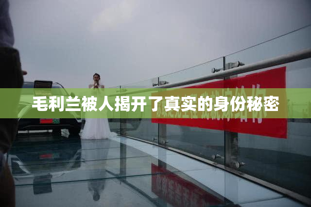 毛利兰被人揭开了真实的身份秘密