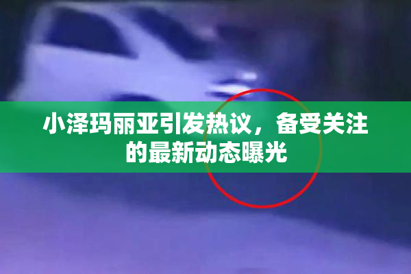 小泽玛丽亚引发热议，备受关注的最新动态曝光