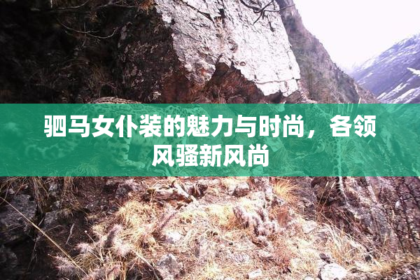 驷马女仆装的魅力与时尚，各领风骚新风尚