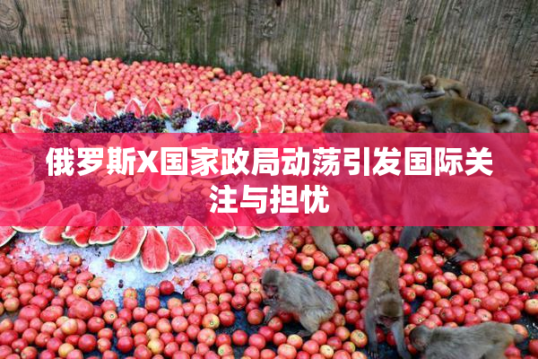 俄罗斯X国家政局动荡引发国际关注与担忧