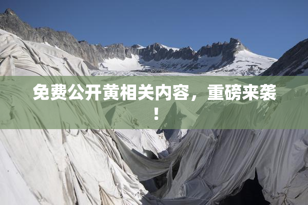 免费公开黄相关内容，重磅来袭！