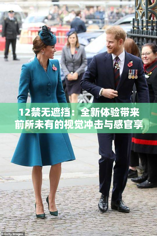 12禁无遮挡：全新体验带来前所未有的视觉冲击与感官享受！