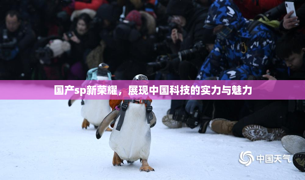国产sp新荣耀，展现中国科技的实力与魅力