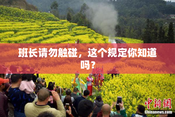 班长请勿触碰，这个规定你知道吗？