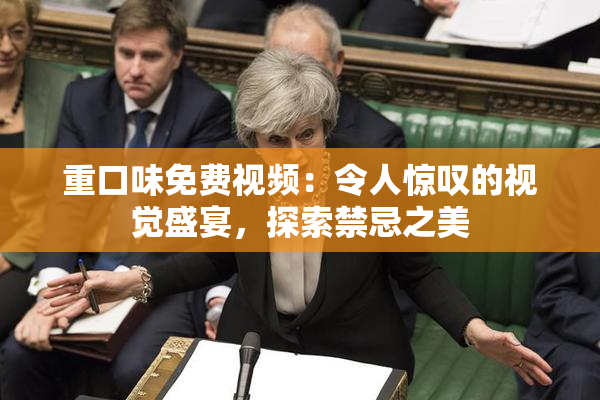重口味免费视频：令人惊叹的视觉盛宴，探索禁忌之美