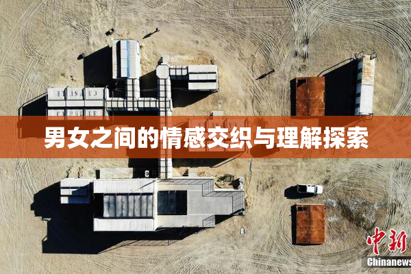 男女之间的情感交织与理解探索