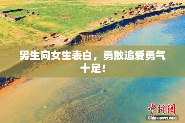 男生向女生表白，勇敢追爱勇气十足！