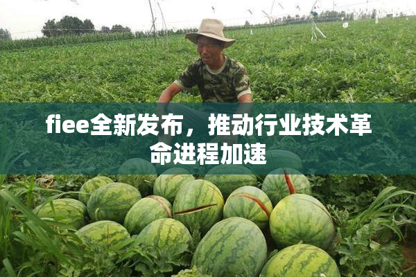 fiee全新发布，推动行业技术革命进程加速