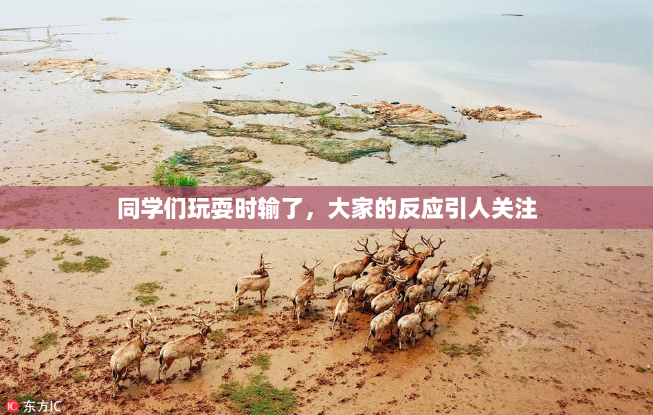 同学们玩耍时输了，大家的反应引人关注