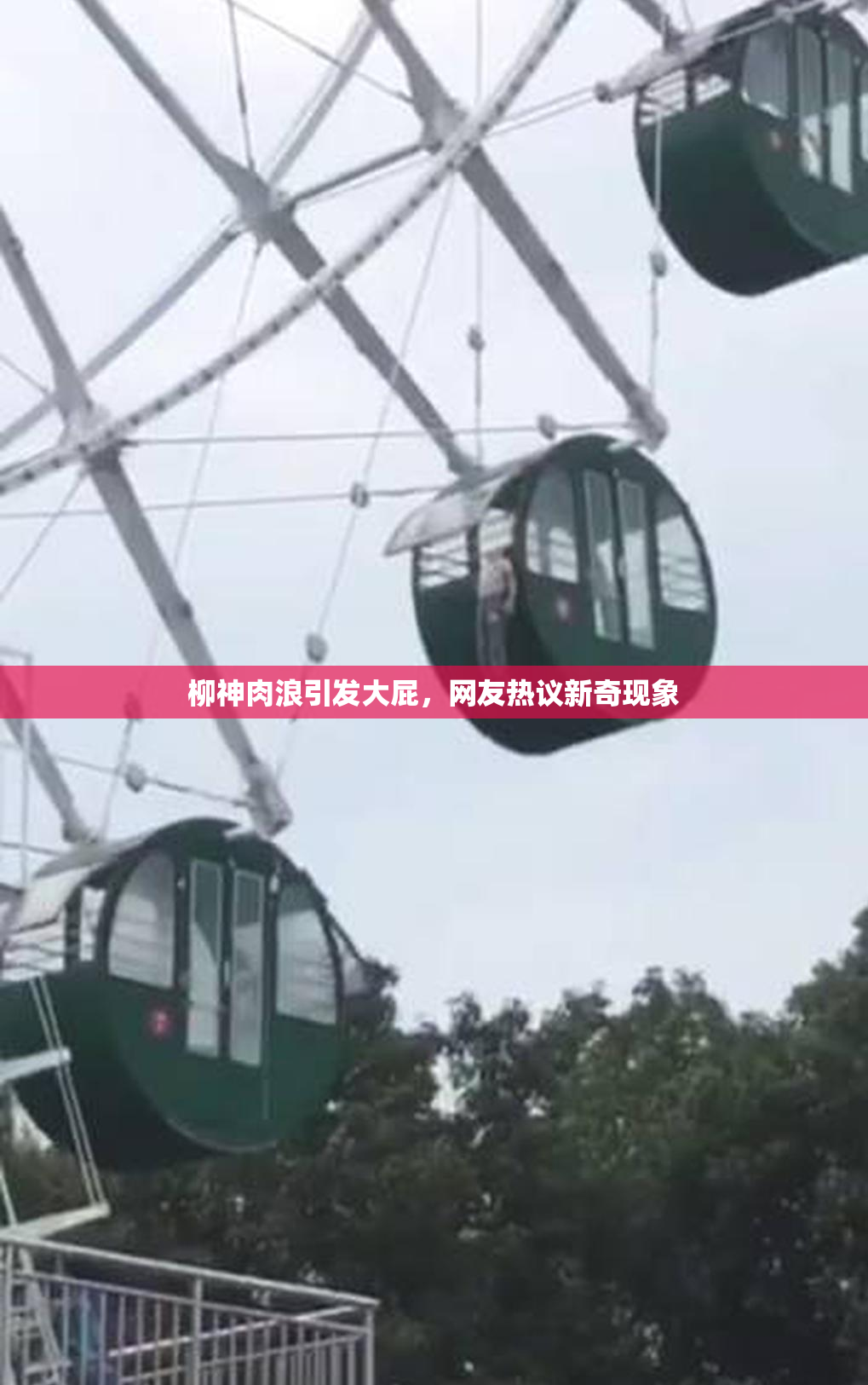 柳神肉浪引发大屁，网友热议新奇现象