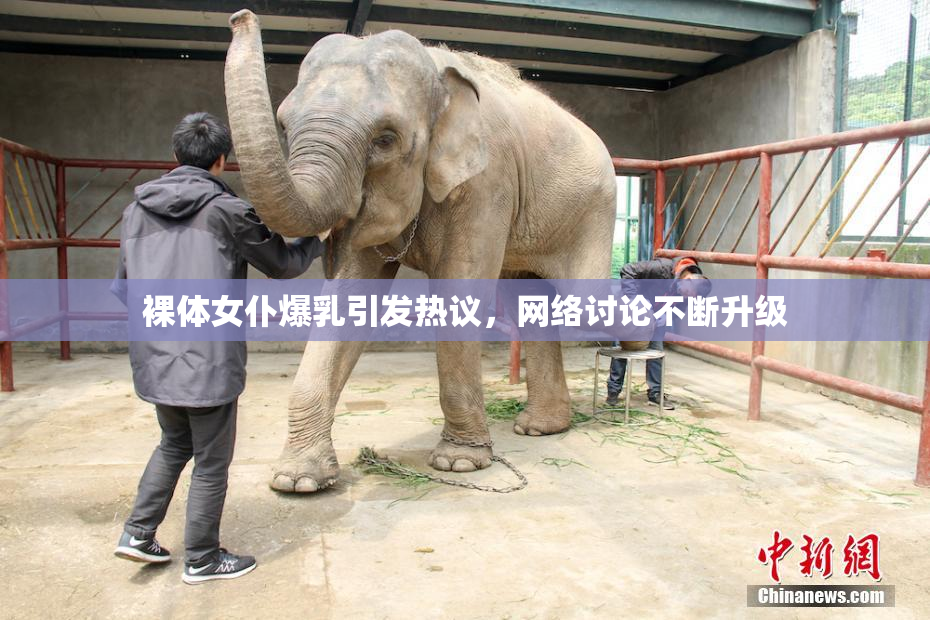 裸体女仆爆乳引发热议，网络讨论不断升级