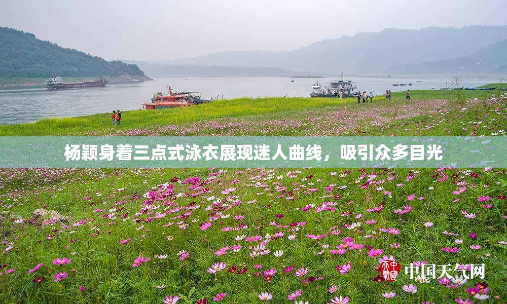 杨颖身着三点式泳衣展现迷人曲线，吸引众多目光