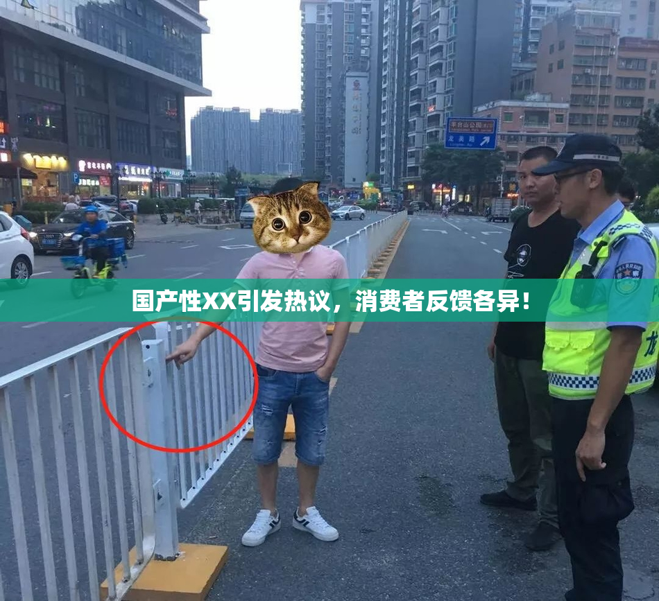 国产性XX引发热议，消费者反馈各异！