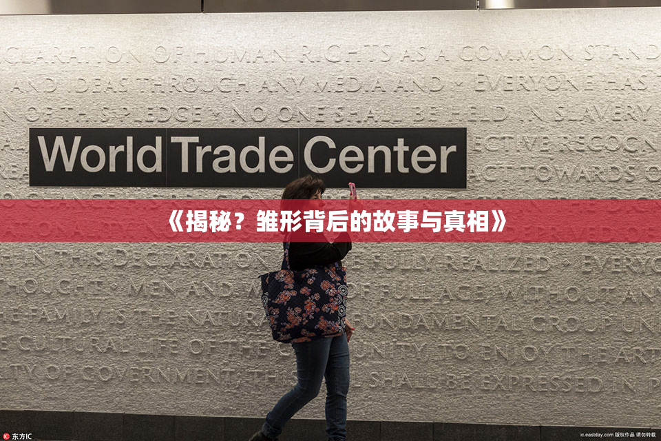 《揭秘？雏形背后的故事与真相》
