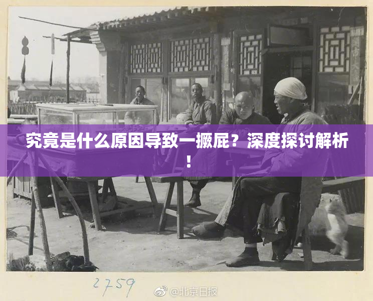 究竟是什么原因导致一撅屁？深度探讨解析！
