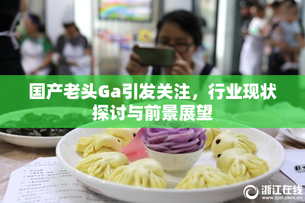 国产老头Ga引发关注，行业现状探讨与前景展望