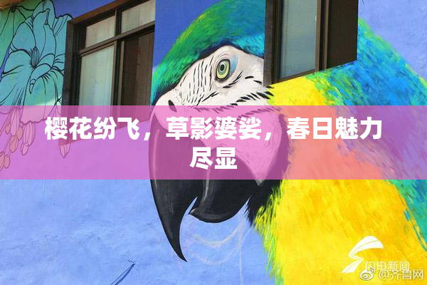 樱花纷飞，草影婆娑，春日魅力尽显