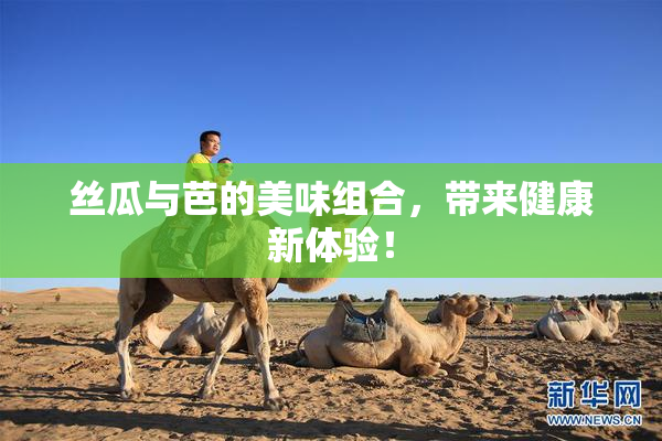 丝瓜与芭的美味组合，带来健康新体验！