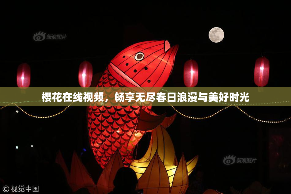 樱花在线视频，畅享无尽春日浪漫与美好时光